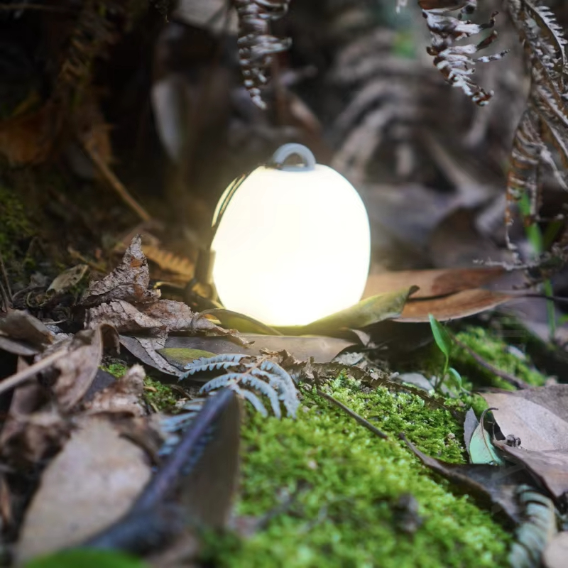 Mini Egg-Shaped Squeeze Silico - Camping Cooking Container recension och pris